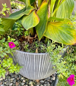 Pretty Plastic Planter