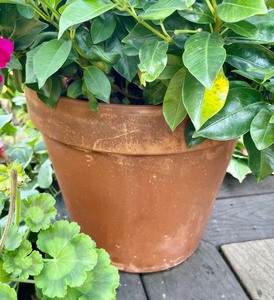 3 Planters