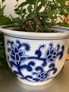 Pier One Home Decor Items