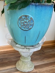 Beautiful Bright Blue Planter with Plant