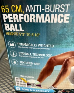 Golds Gym 65cm Anti Burst Performance Ball