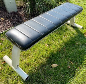 Workout Bench