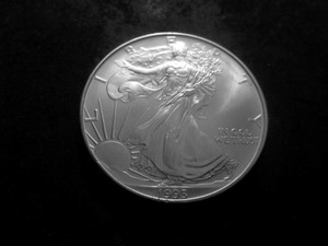 lot 52 image: 1993 Silver Eagle Choice MS From Unc Roll