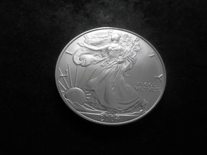 lot 66 image: 2004 Silver Eagle Choice MS From Unc Roll