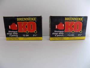 Brenneke 12 Gauge Slugs