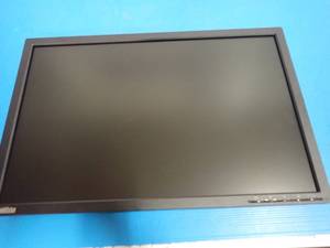 Lennovo 22 in LCD Monitor no stand
