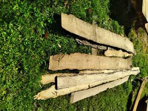 Mixed lot of Ash, Red Elm, and Pine...