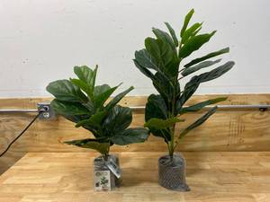lot 81 image: BESAMENATURE Lot of 2-  Artificial Fiddle Leaf Fig TreeFaux Ficus Lyrata for Decoration