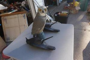 Owl and 2 Crow Plastic Decoys