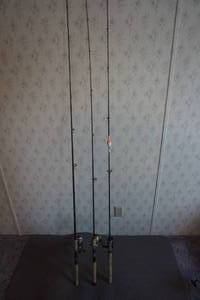 3 -  Spinning Fishing RodReel Combo Sets