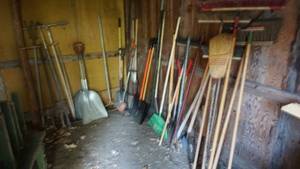 lot 32 image: An Assortment Of Shovels-Brooms-Rakes-Etc.