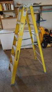 lot 256 image: Werner--6 Foot Fiberglass Ladder--300 Lbs. Capacity