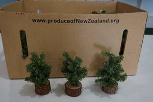 Tree dcor