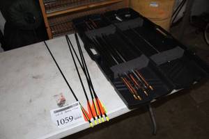lot 1059 image: Lot of Arrows  - Plastic Case