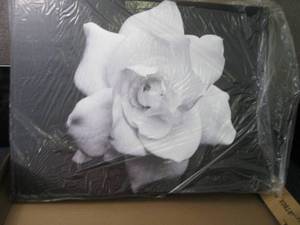 lot 130 image: Trademark Fine Art Kurt Shaffer Gar...