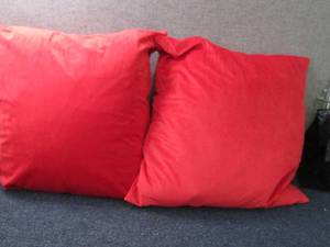 lot 167 image: 2- 20x20 inch Throw Pillows...