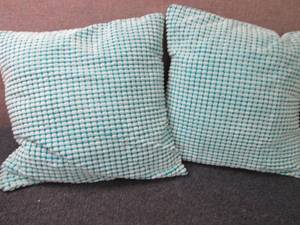 lot 170 image: 2- 18x18 inch Throw Pillows...
