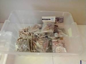 lot 156 image: Tote of Crafting Shells & Beads