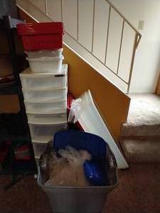 lot 417 image: Huge Lot of Totes and Containers