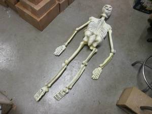 lot 201 image: (EW2) Hanging Plastic Skeleton Figu...