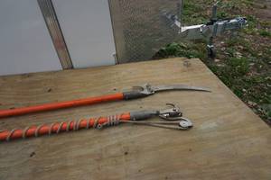 PoleTree Saw