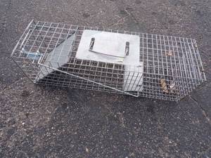 lot 107 image: Live Trap