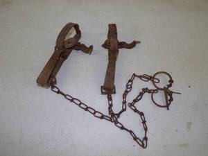 lot 59 image: Pair of Gopher Traps