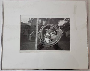 lot 03 image: Renowned Minneapolis Artist Wing Young Huie Dog, Frogtown Photographic Print  32.25 x 18.25