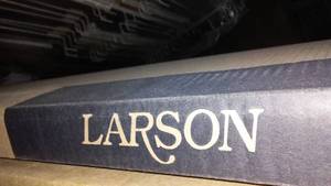 lot 667 image: Larson Storm Door
