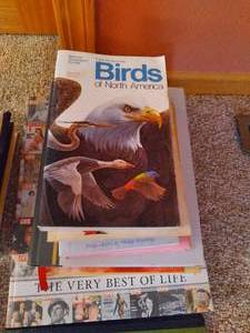 lot 56 image: Lots of Books Burnett, Birds, New Testament, and More 