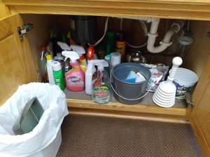 lot 67 image: Everything but the Kitchen Sink Cleaners, Scrub Brushes, Insect Killers, Glass Vases, and More
