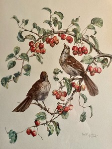 lot 62 image: Brown Thrasher Artwork Print by Cecil Golding