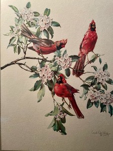 lot 64 image: Cardinal Artwork Print by Cecil Golding