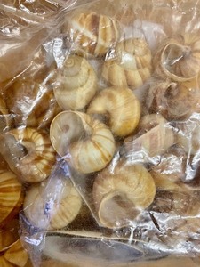 lot 122 image: 2 Bags of Seashells