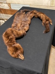 Four Mink Fur Collar Wrap