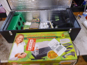 lot 123 image: Plant Growing Kit