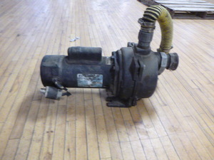 lot 175 image: Wayne Lawn Sprinkling Pump