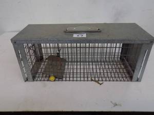 Victor Live Trap Small