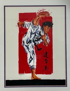 lot 265 image: Karate Themed Framed Print by Terry Rose