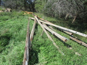 lot 29 image: Power Poles Approx. 8 Pcs
