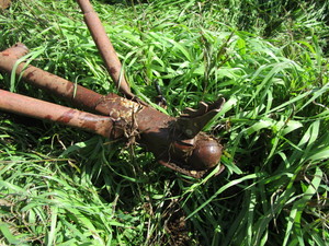 lot 18 image: WW Cattle Chute