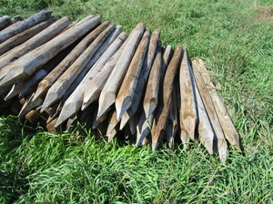 lot 25 image: 4 Fence Posts 6 8 Long Approx. 120 Pcs