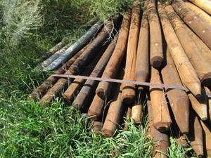 lot 26 image: 6 Fence Posts 8 Long Approx. 90 Pcs