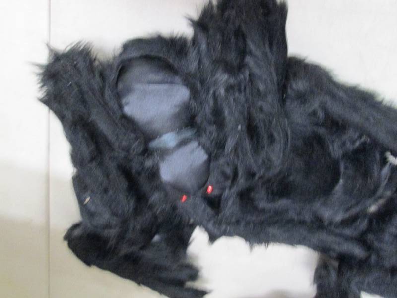 lot 144 image: halloween reallistic hairy spiders ...