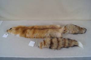 lot 217 image: Fox Pelt and Tail
