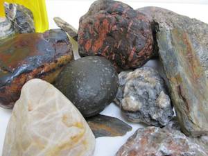 lot 95 image: Bucket of Interesting Larger Size Rocks etc