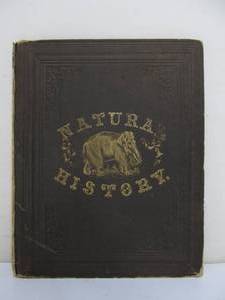lot 345 image: Orig Antique 1850s Natural History Book wFull Color Illustrations 