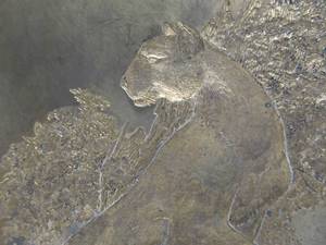 lot 250 image: Vintage Mountain Lion Brass Embossing Printing Plate