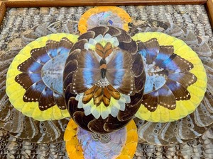 lot 298 image: Inlaid Vintage Deco Genuine Butterfly Wing Bentwood Serving Tray