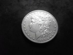 1899 Morgan Silver Dollar